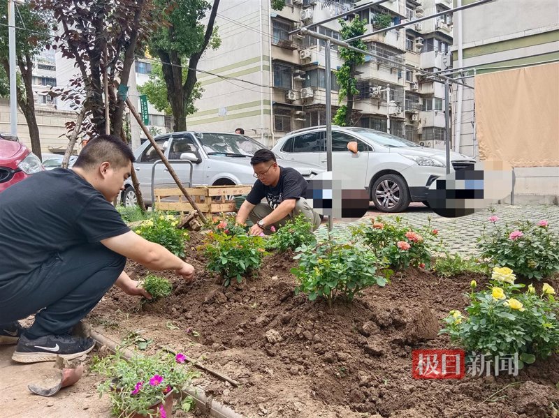 园林景观设计:塑造自然与人文和谐交融的艺术