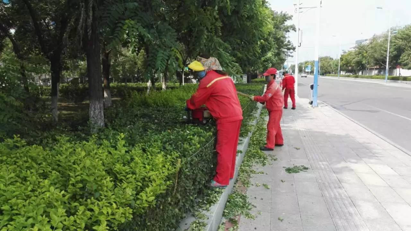 别墅庭院绿化: 宁静绿境的艺术再现