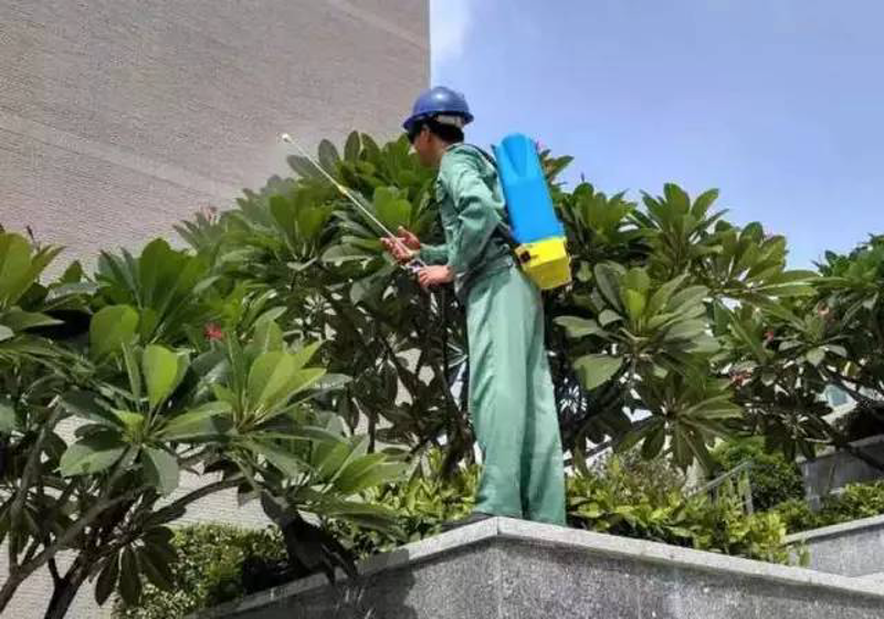 别墅庭院绿化：打造自然美景的艺术