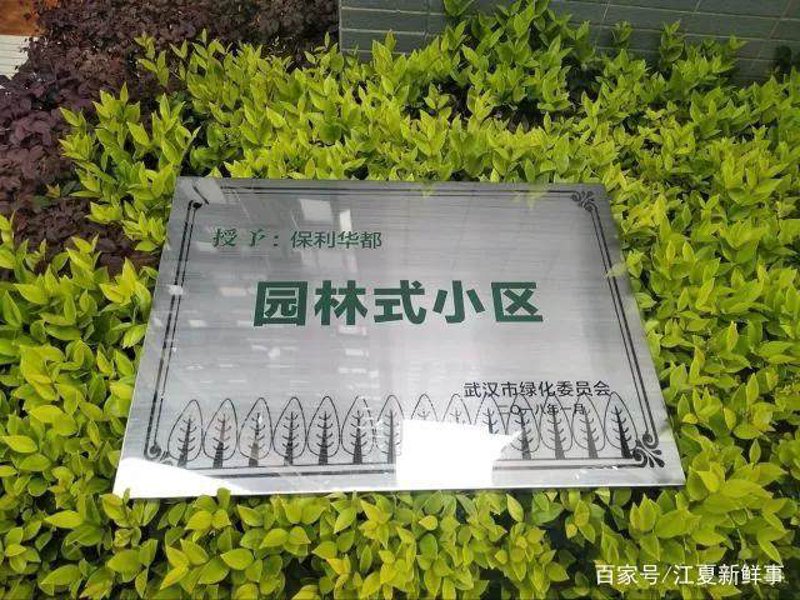 别墅庭院绿化：打造家门口的绿色梦想